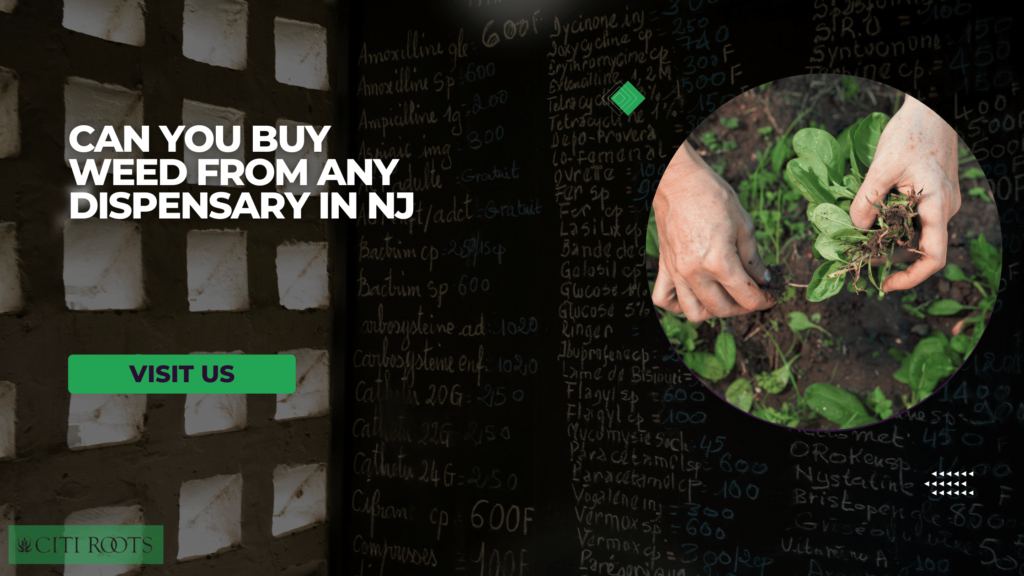 Can you buy weed from any dispensary in nj​