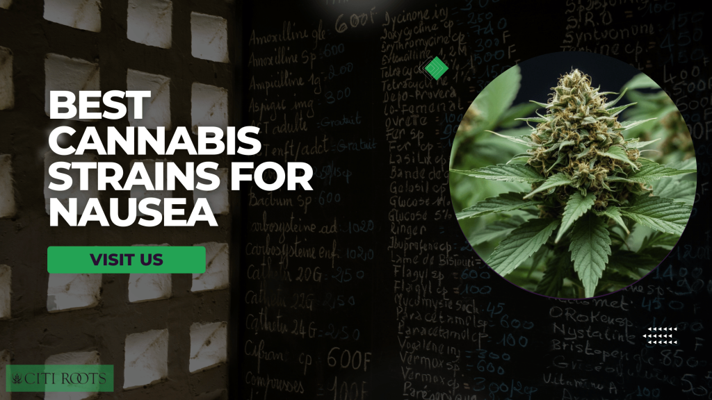 Best Cannabis Strains for Nausea