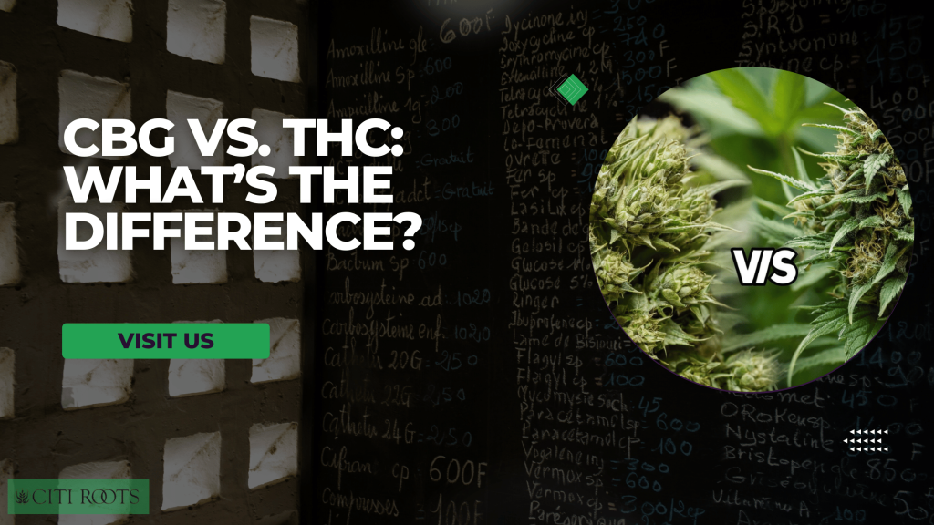 CBG vs THC: What’s the Difference?