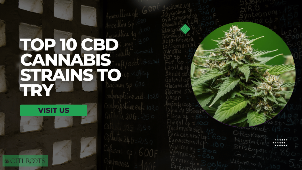Top 10 CBD Cannabis Strains to Try