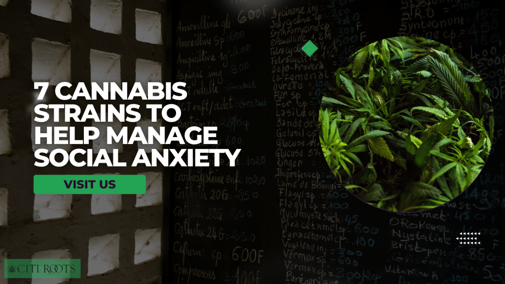 7 Cannabis Strains to Help Manage Social Anxiety