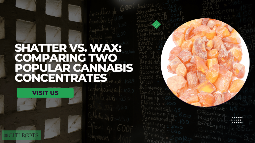 Shatter vs Wax: Comparing Two Popular Cannabis Concentrates