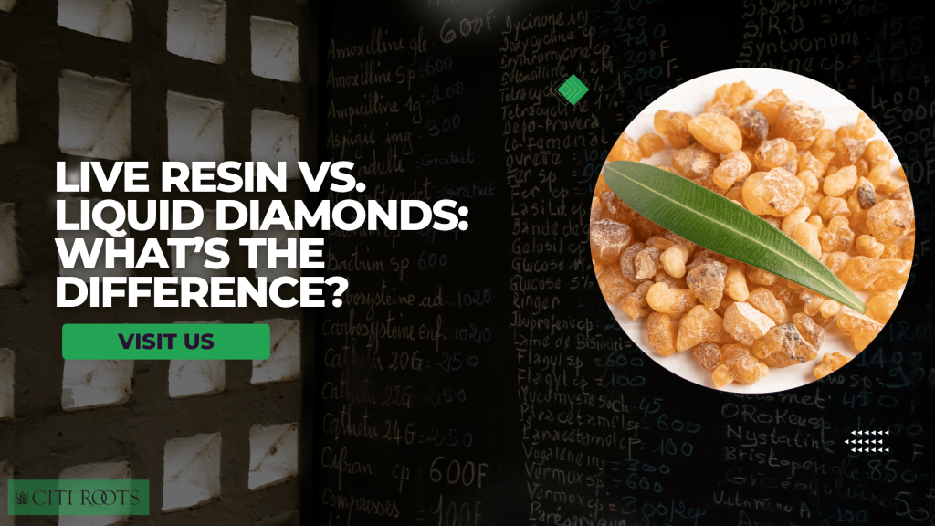 Live Resin vs Liquid Diamonds: What’s the Difference?