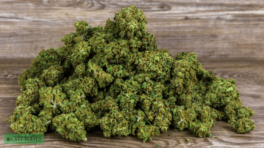 Jack Herer: Sociable Energy