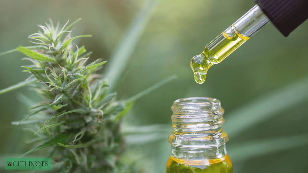 Cannabis Strains for Social Anxiety Relief