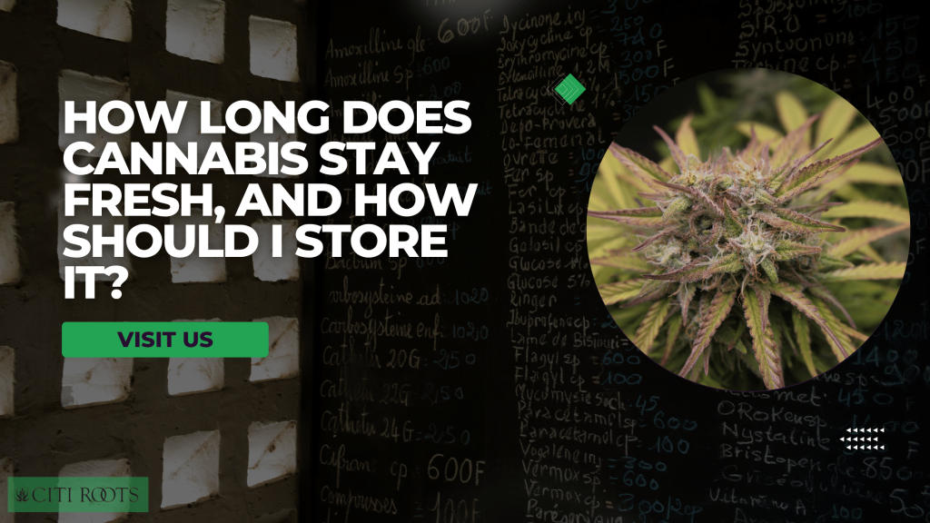 How Long Does Cannabis Stay Fresh, And How Should I Store It?
