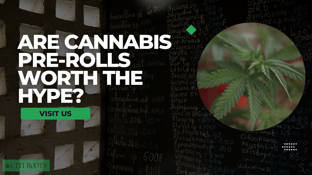 Are Cannabis Pre-Rolls Worth The Hype?