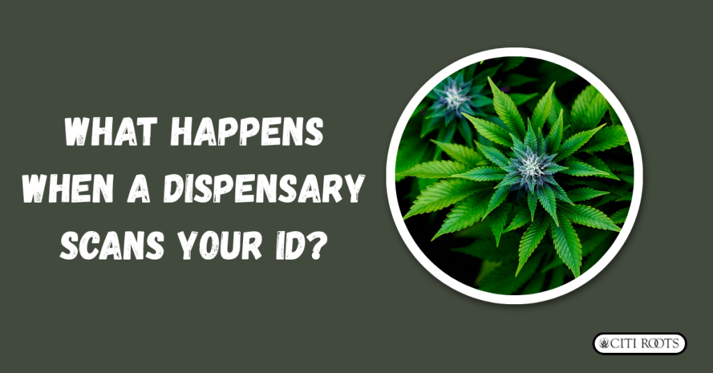 What Happens When a Dispensary Scans Your ID?