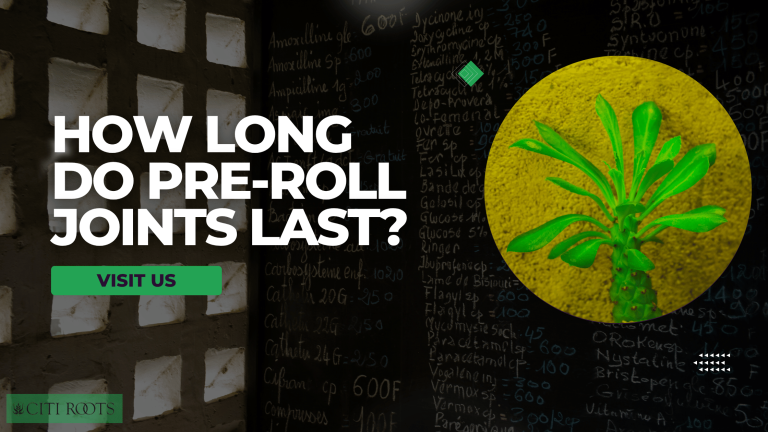How Long Do Pre-Roll Joints Last?