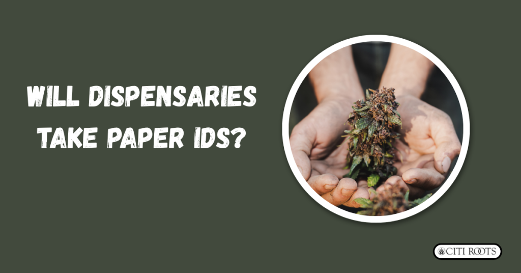Will Dispensaries Take Paper IDs?