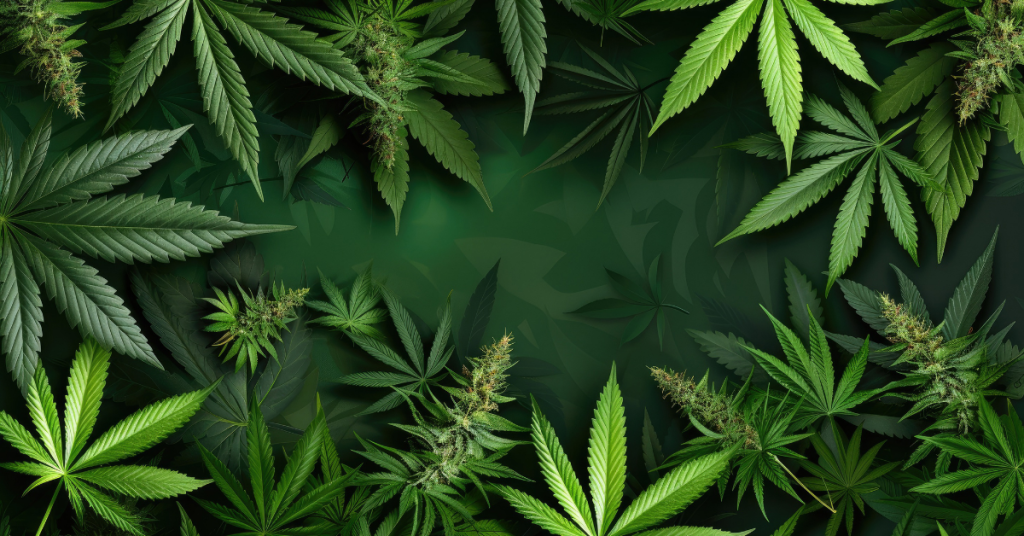 Memorable Cannabis Holiday Party